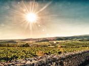 Notizie Soavi: etichetta fascetta Stato