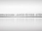 L’equilibrio fotografico Langmann