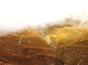 FINE BEFORE CAME, Quassù Quasi Tutto