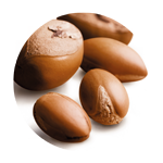 argan 2