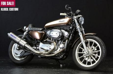 Harley XL 883L 2007 Special