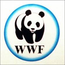 wwf