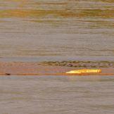 Predatori africani: grazia e potenza visti attraverso un safari fotografico