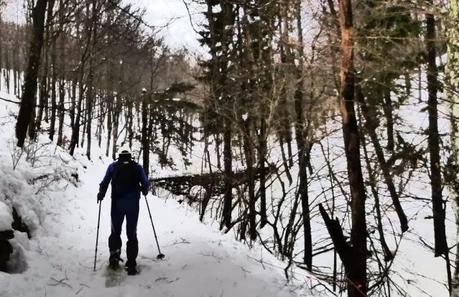 Escursione con le ciaspole (31/1, 2014)