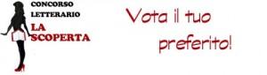 vota-banner