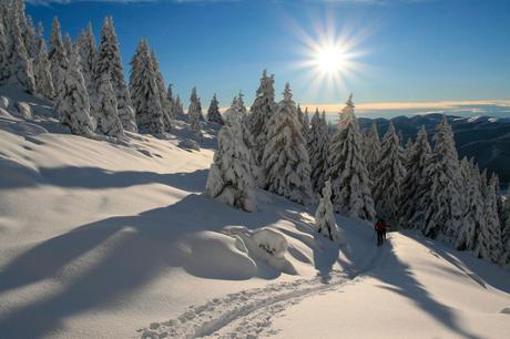 ciaspolata in neve fresca in Trentino