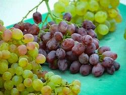 uve da tavola