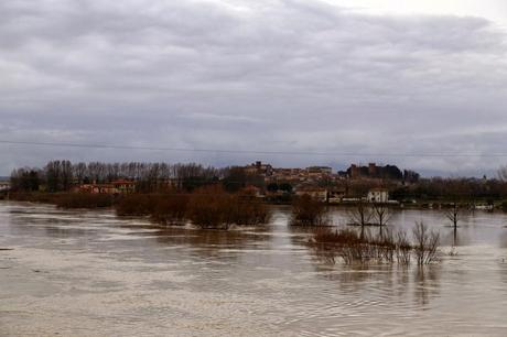 la piena dell'Arno