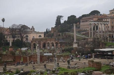 Roma 1 febbraio 2014 019