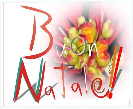 Buon_Natale-2013_aa