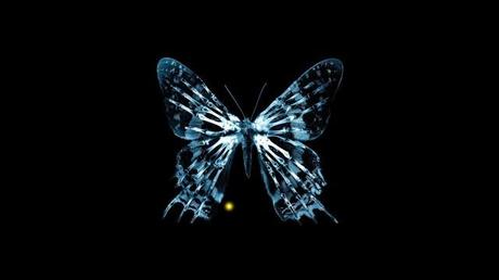 butterfly-fringe_00394858