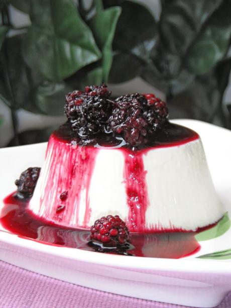 Candida panna cotta al cioccolato bianco e cocco con salsa di more