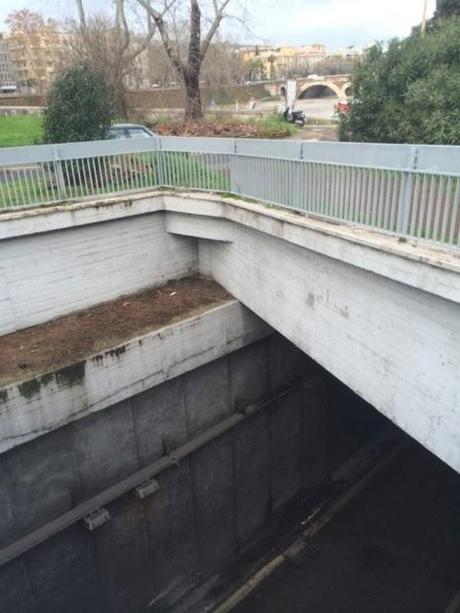 I murales di Wiliam Kentridge starebbero meglio in periferia? La cosa triste è che il Lungotevere all'altezza di Ponte Margherita e Ponte Nenni periferia lo è a pieno titolo