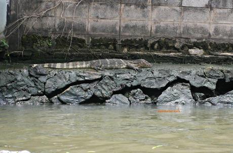 Bangkok da scoprire: In barca lungo i Khlongs di Thonburi, seconda parte