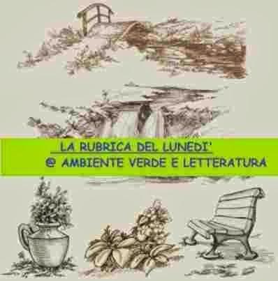 I Lunedi' dell'ambiente e dei Paesaggi, il 4° appuntamento visitando la Valle d'Aosta con Paolo Cognetti I Lunedi' dell'ambiente e dei Paesaggi, il 4° appuntamento visitando la Valle d'Aosta con Paolo Cognetti