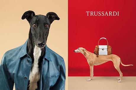 trussardi