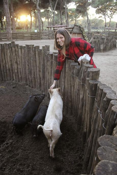 La Fattoria Degli Animali