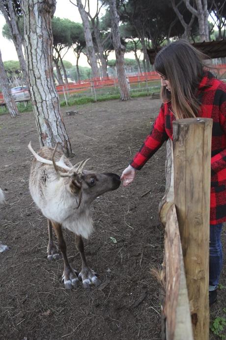 La Fattoria Degli Animali