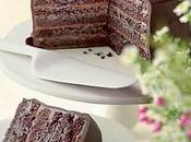 Torta strati cioccolato fondente nocciole.