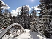 Carinzia: tutto bello della montagna