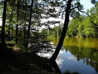 Luoghi da visitare: Castello di Červená Lhota