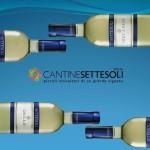 Vini_Bianchi_2013_Sicilia_Cantine_Settesoli