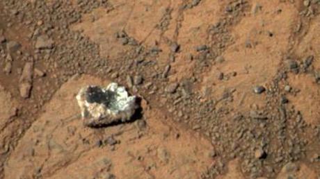 Marte: la pietra è un fungo? Scienziato accusa la NASA di negligenza