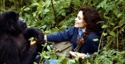 Dian-Fossey-Photos-HD-Wallpapers