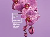 Radiant orchid color year 2014