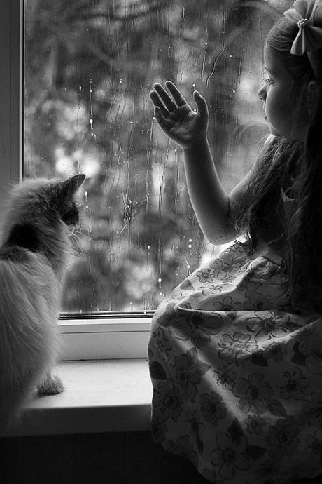 rainy-day-with-cat