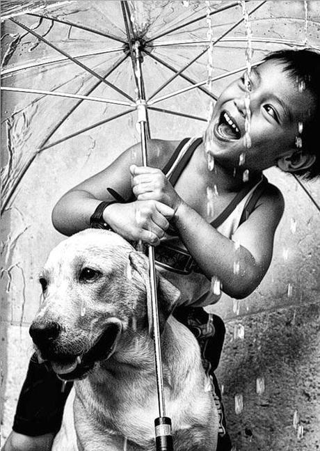 rainy-day-with-dog