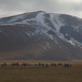 Norcia: terra di chirurghi, macellai, fate e negromanti