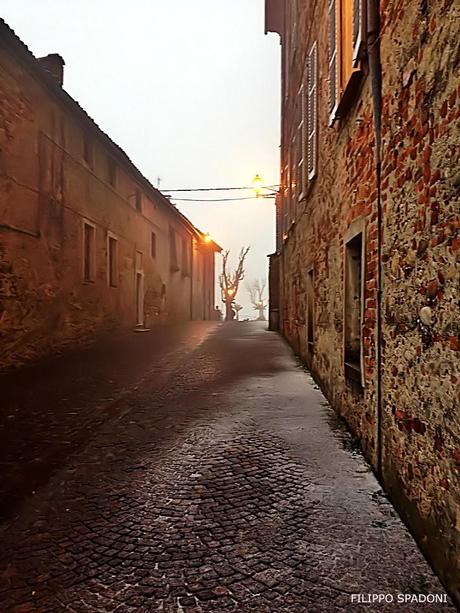 Geografia interiore in terre di Langa, tra neve e nebbia.