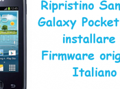 Ripristino Samsung Galaxy Pocket Plus: installare Firmware originale Italiano