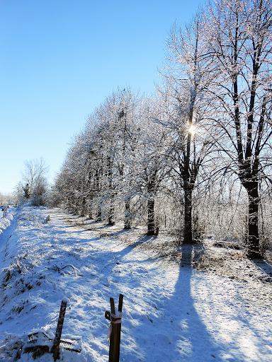 fotografie Paesaggi cuneesi innevat