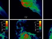 Mettere ordine caos primordiale