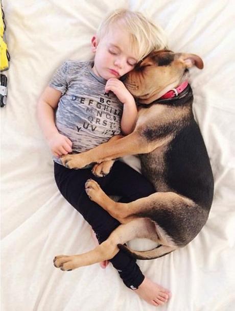 A-Naptime-Story-with-Dog-and-Baby-8