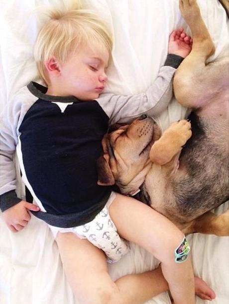 A-Naptime-Story-with-Dog-and-Baby-9 (1)