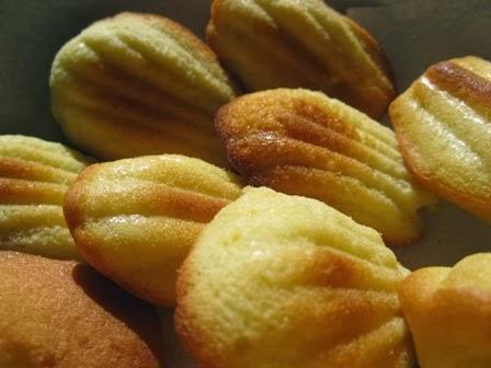 Madeleinettes mon amour alla vaniglia  glassate bianche e rosa