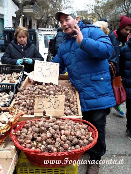 I lampasciuli della Capitanata