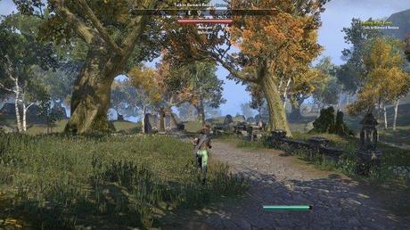 A spasso per Tamriel