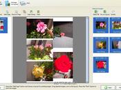 Photo Print Pilot 2.1.5 Gratis: Organizzare stampa foto pagina singola [Windows App]