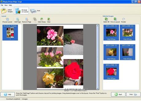 83251 2 Photo Print Pilot 2.1.5 Gratis: Organizzare la stampa di più foto su una pagina singola [Windows App]