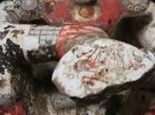 Scopeto l'osservatorio Aztlàn