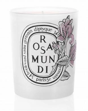 aCandle_RosaMundi_LD