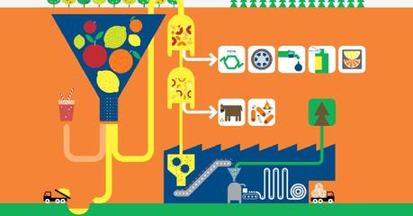 Scarti agro industriali energia biomasse - BioEnergy Italy