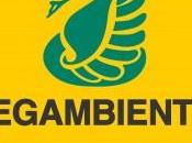 Salute ambiente rischio
