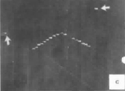 GLI UFO DI LUBBOCK