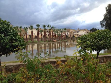 Cartoline dal Marocco. Pronti a mangiarvi entrambe le mani? Il mondo corre, chi sta fermo muore