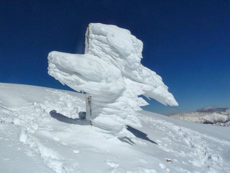 C'è un angelo in vetta alla Grigna!